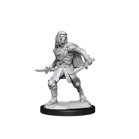 Warforged Rogue (Nolzur)