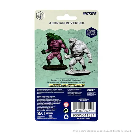 Aeorian Reverser Critical Role