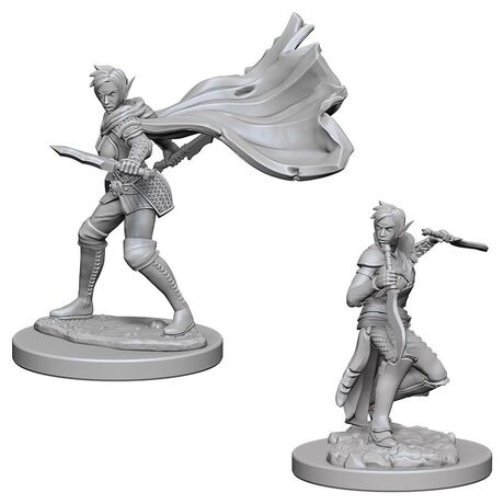 Elf Female Rogue (Nolzur)