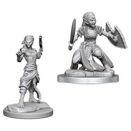 Shifter Fighter (Nolzur)