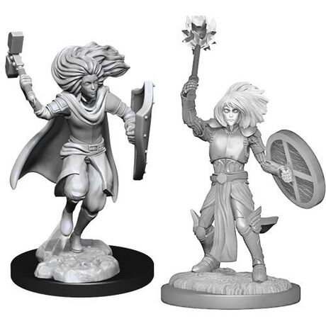 Changeling Cleric (Nolzur)