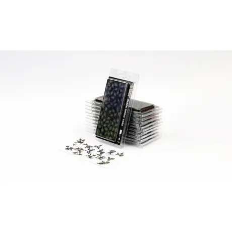 Laser Plants - Black Magic Taro