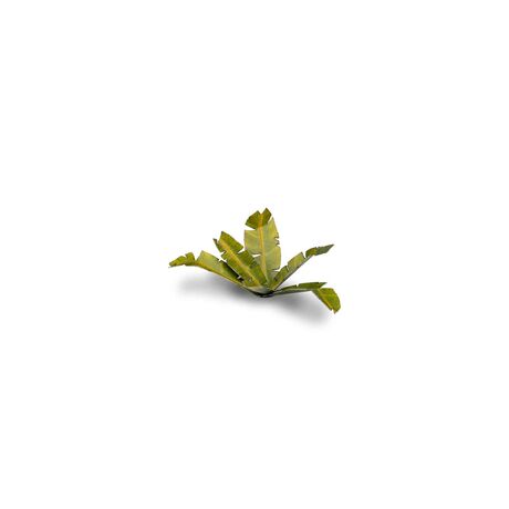 Laser Plants - Banana Tree