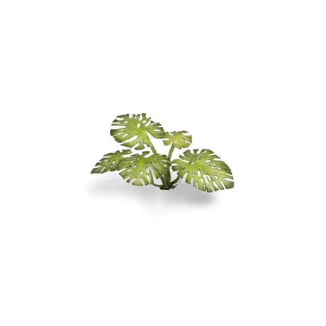 Laser Plants - Monstera