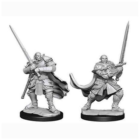 Half-Orc Paladin Male Nolzur