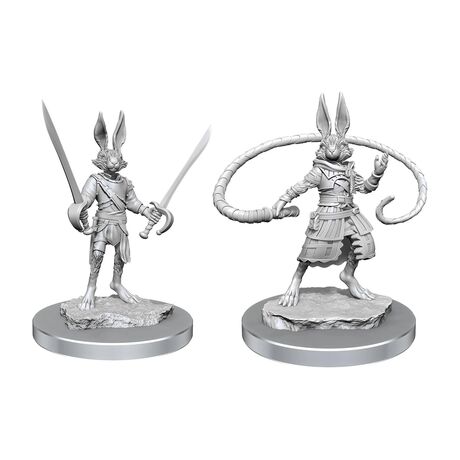 Nolzur Harengon Rogues