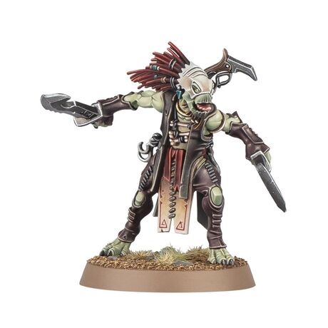 T'au Empire: Kroot Flesh Shaper