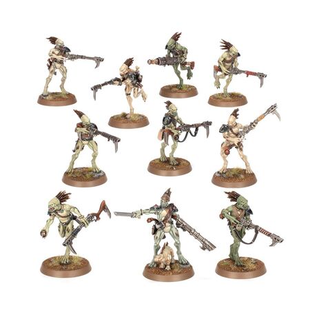 T'au Empire: Kroot Carnivore Squad