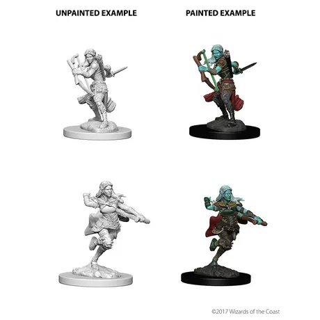 Air Genasi Female Rogue - Nolzur Primed