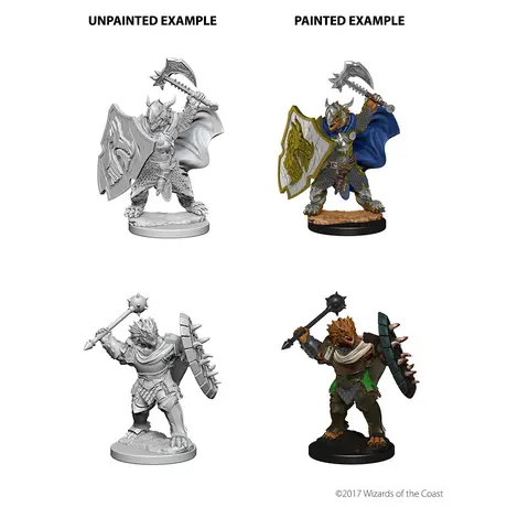Dragonborn Male Paladin - Nolzur Primed