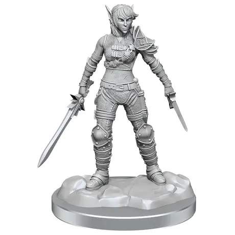 Elf Rogue & Half-Elf Rogue Protege - Nolzur Primed