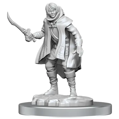 Elf Rogue & Half-Elf Rogue Protege - Nolzur Primed