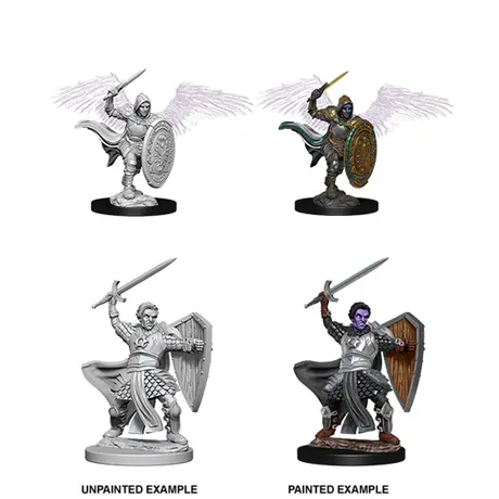 Aasimar Male Paladin - Nolzur