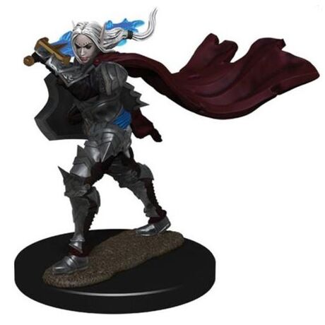 Elf Paladin Female - Pathfinder Premium