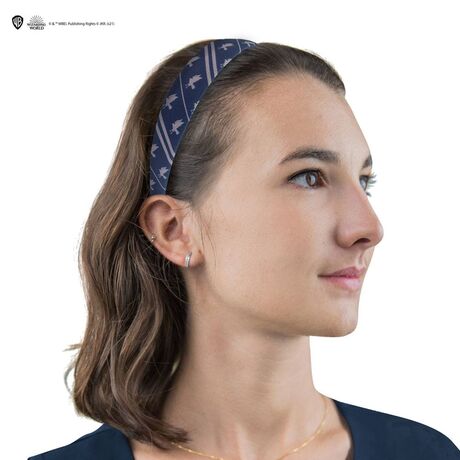 Harry Potter Classic Hair Accessories Ravenclaw