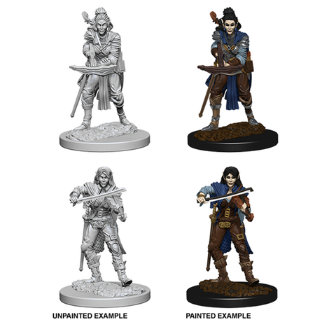 Elf Female Bard - Pathfinder Deep Cuts