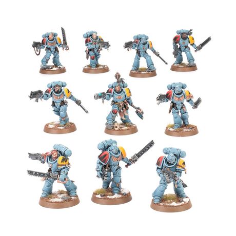 Space Wolves: Grey Hunters