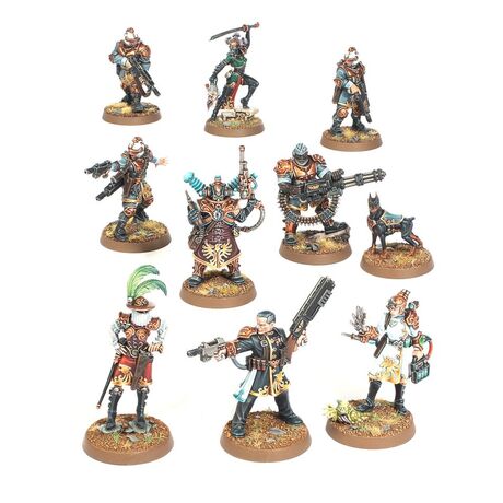 Rogue Trader Entourage & Voidsmen-at-Arms D.O.