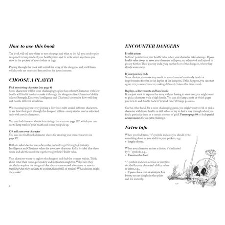 Into the Dungeon - Choose your Path Book