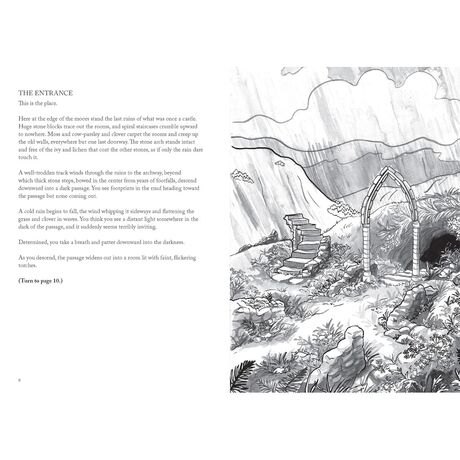 Into the Dungeon - Choose your Path Book