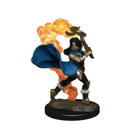 Human Cleric Female Pathfinder Premium