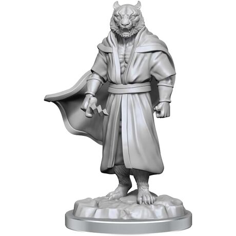 Male Human Sorcerer Merchant & Tiger Demon - Critical Role