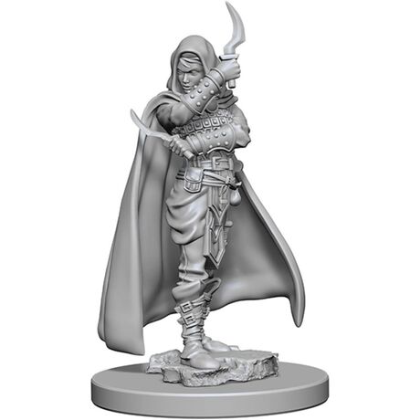 Human Female Rogue - Critical Role