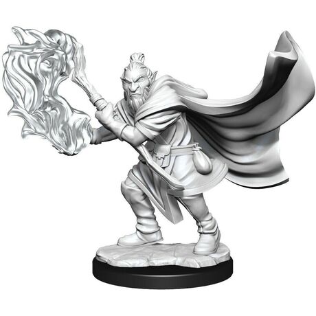 Hobgoblin Wizard & Druid Male - Critical Role