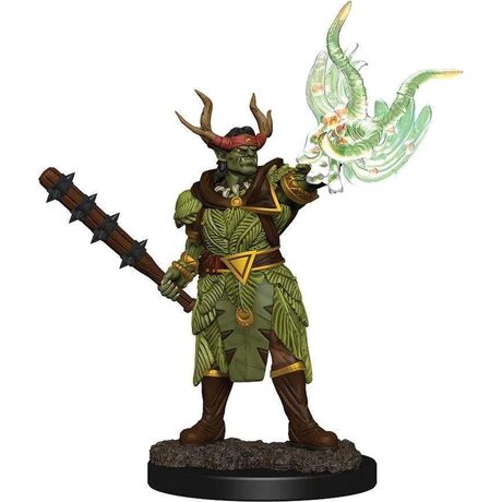 Half-Orc Druid Male Pathfinder Premium