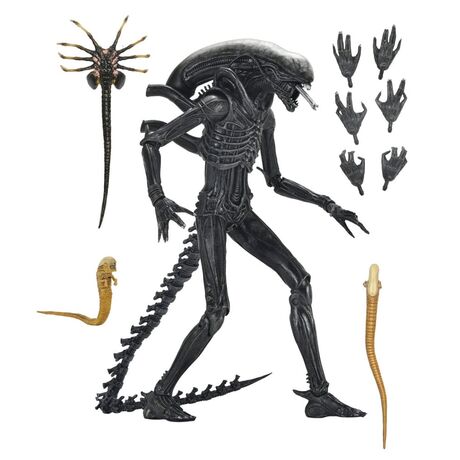 Alien: Romulus Action Figure Ultimate Xenomorph XX121 18 cm