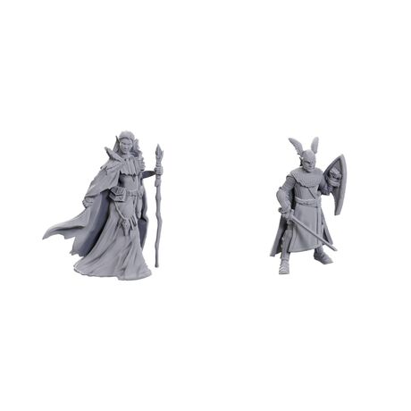 Elves - D&D Nolzur LE 50th Ann.