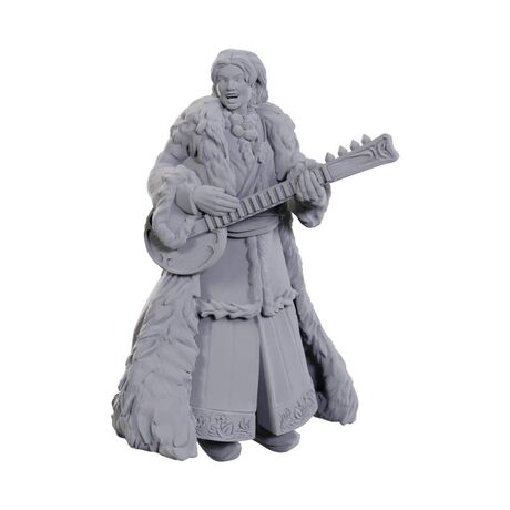 Ansalon Human Bard - Nolzur