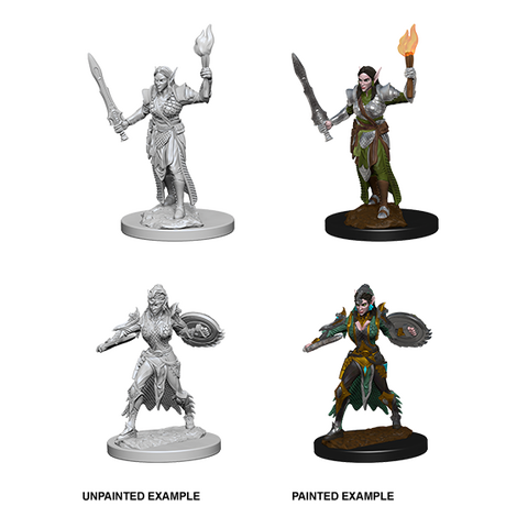 Elf Female Fighter (Pathfinder)