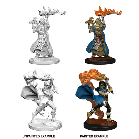 Human Female Cleric (Pathfinder)