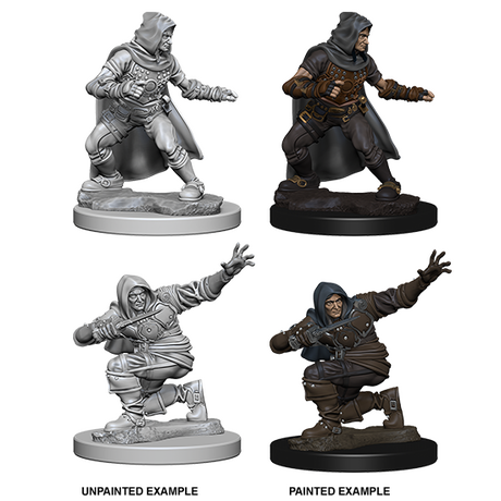 Human Rogue (Pathfinder)