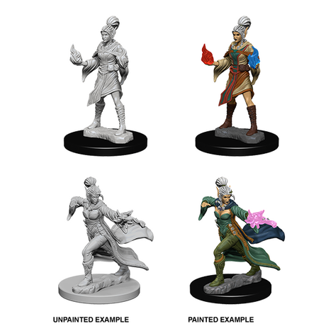 Human Female Sorcerer (Pathfinder)