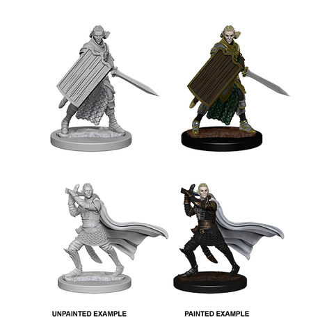 Elf Male Paladin (Pathfinder)