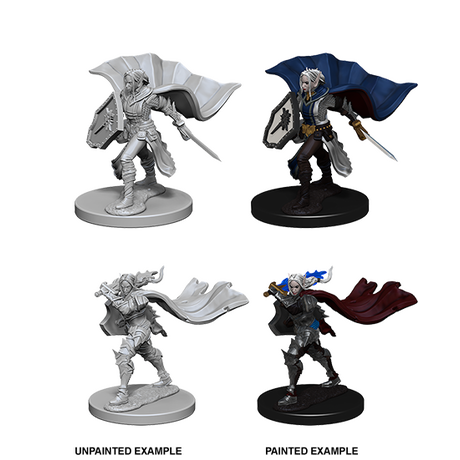 Elf Female Paladin (Pathfinder)