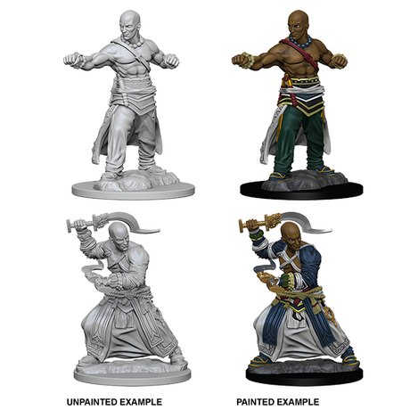 Human Male Monk (Pathfinder)