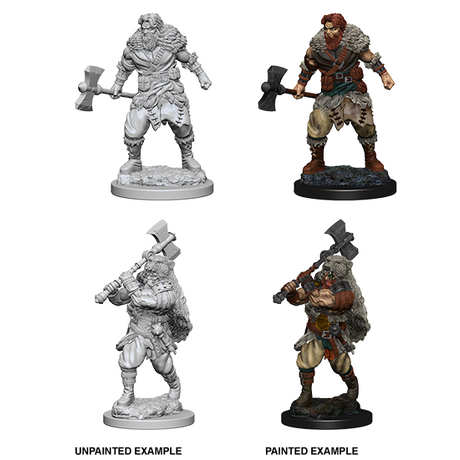Human Barbarian Male (Nolzur)