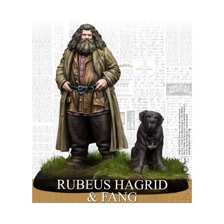 Rubeus Hagrid & Fang