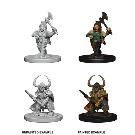 Dwarf Barbarian Female (Nolzur)