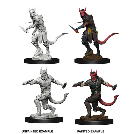 Tiefling Rogue Male (Nolzur)