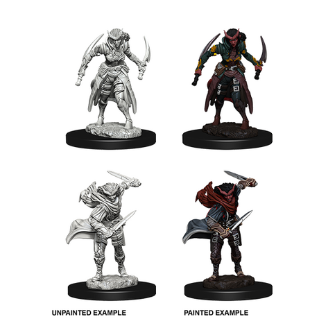 Tiefling Rogue Female (Nolzur)