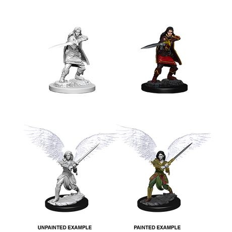 Aasimar Fighter Female (Nolzur)