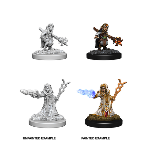 Gnome Wizard Female (Nolzur)