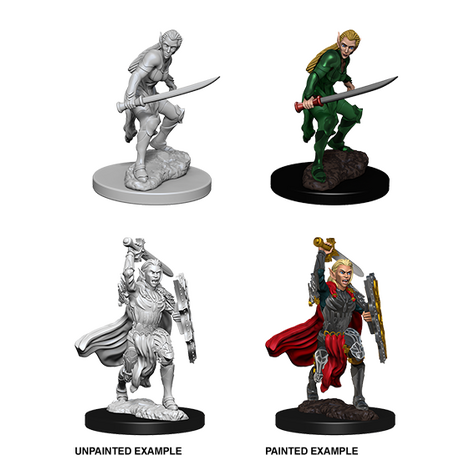 Elf Fighter Female (Nolzur)