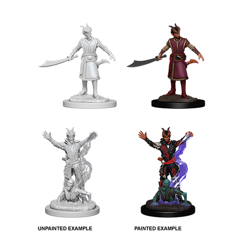 Tiefling Warlock Male (Nolzur)