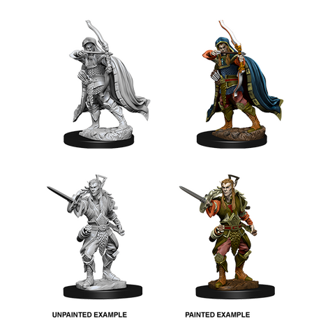 Elf Rogue Male (Nolzur)