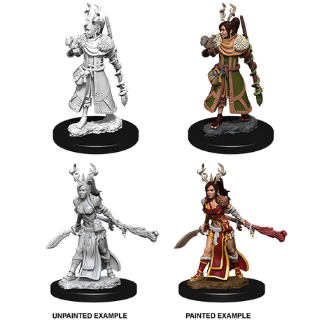 Female Human Druid (Nolzur)